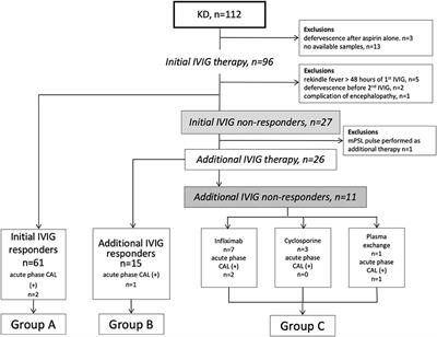 Utility of Soluble CD163 in the Clinical Management of Patients With Kawasaki Disease